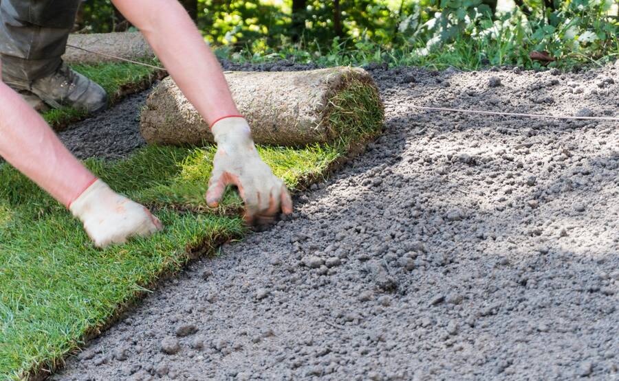 Sod Installation by Cangelosi Lawns LLC