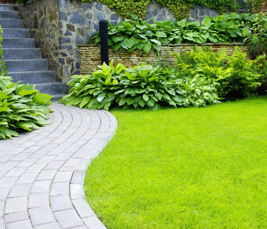Spring cleanup by Cangelosi Lawns LLC.