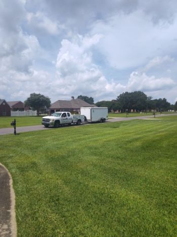 Sod Installation in Livingston