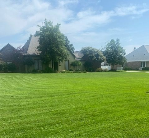 Mowing in Baton Rouge, LA (1)