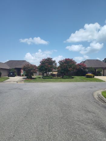 Commercial landscaping in Dennis Mills, LA by Cangelosi Lawns LLC.
