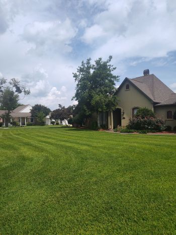 Lawn mowing in Denham Springs, LA by Cangelosi Lawns LLC.