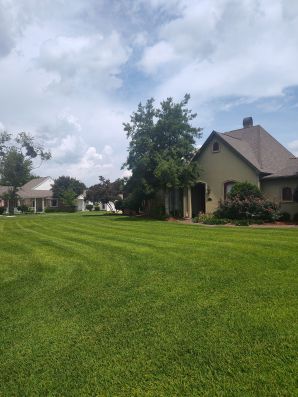 Mowing in Baton Rouge, LA (1)